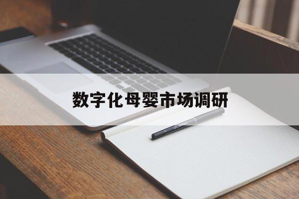 清远市数字化母婴市场调研(数字化母婴市场调研报告)